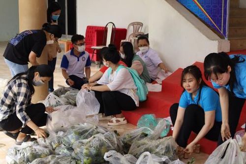 Tuổi trẻ Cần Thơ chung tay 'giải cứu' hàng tấn cam sành rớt giá