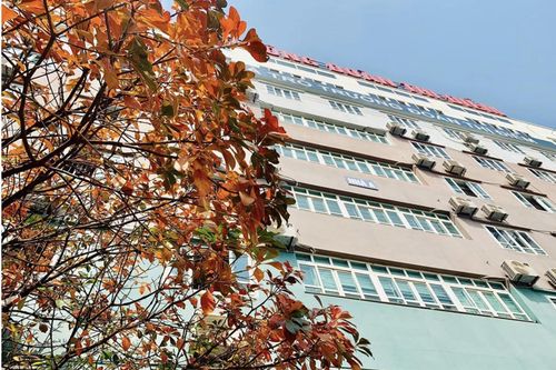 Các trường ngoài công lập công bố chỉ tiêu, lịch tuyển sinh đầu cấp
