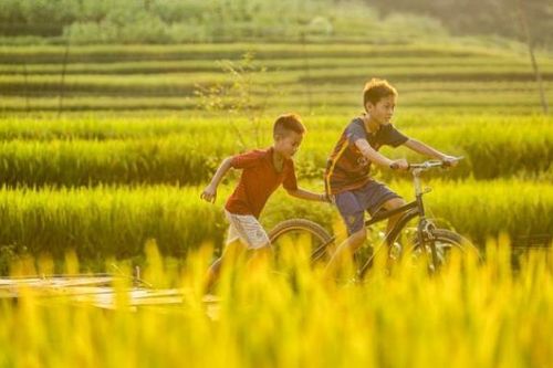 Bài học từ cánh đồng