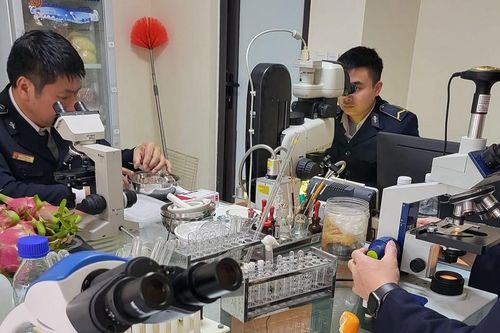 Thúc đẩy xuất nhập khẩu nông sản Việt Nam-Trung Quốc
