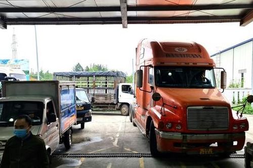 Đà Nẵng dừng đăng kiểm xe cơ giới cải tạo để phối hợp điều tra