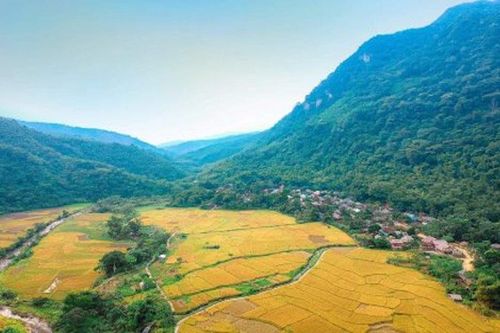 'Lạc lối' với phong cảnh hữu tình ở bản Hang