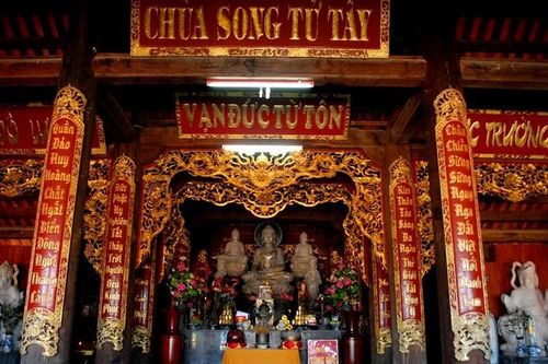 Thơ: Áo Nâu ra đảo