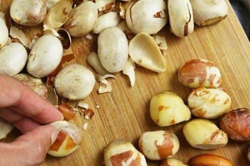 Loại hạt 'cho không ai lấy' ở Việt Nam lại có giá trên trời ở nước ngoài