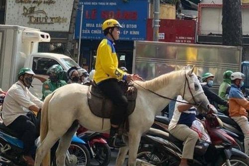 Bị xử phạt vì cưỡi ngựa vào phần đường dành cho xe cơ giới