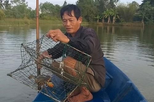 Giá cua Cà Mau vẫn giữ mức cao sau Tết