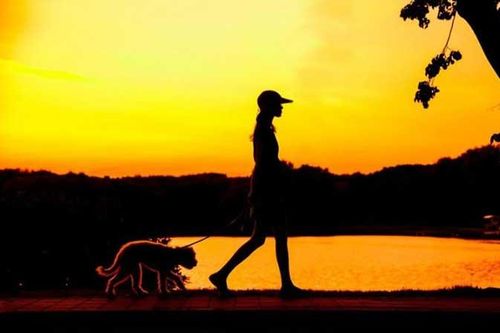 6 thói quen giúp não ngày càng trẻ, 100% dân văn phòng nên áp dụng càng sớm càng tốt