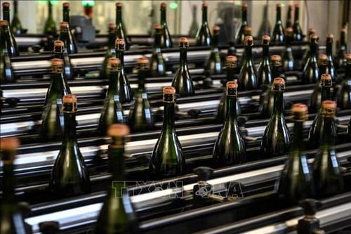 Xuất khẩu rượu vang năm 2022 của Pháp đạt kỷ lục