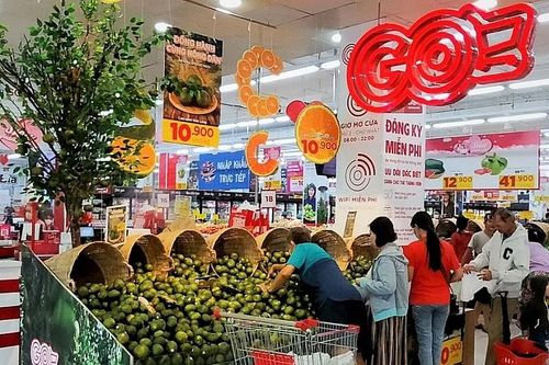 Central Retail cam kết tiêu thụ hàng chục tấn cam sành cho nông dân Vĩnh Long