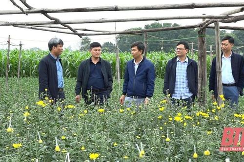 Nhân rộng các mô hình khuyến nông hiệu quả