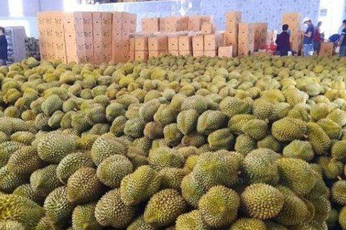 Thúc đẩy giao thương nông sản, thủy sản Việt - Trung trong bối cảnh mới