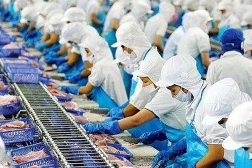 Kéo dài đà giảm, doanh thu tháng 1 của Vĩnh Hoàn (VHC) 'tụt dốc' 45%