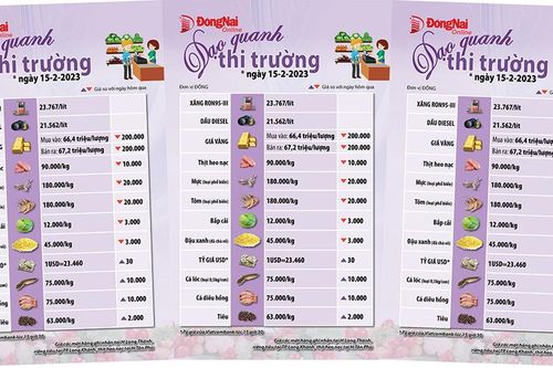 Dạo quanh thị trường 15-2-2023
