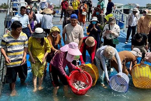 Phóng sanh hơn 2 tấn cá các loại về sông Tiền