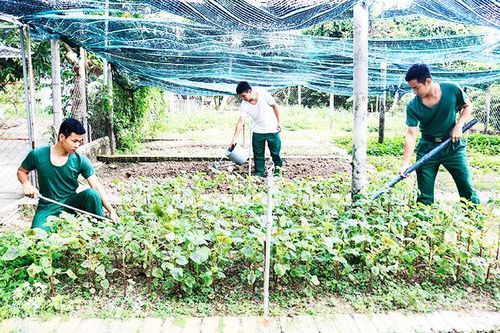Đồn Biên phòng Cầu Bóng: Đẩy mạnh tăng gia, nâng cao đời sống bộ đội