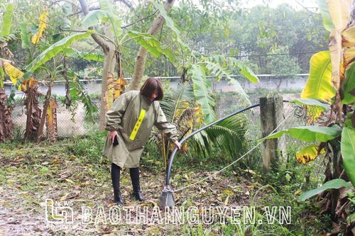 Sử dụng nguồn nước ngầm: 'Khéo co' thì đủ