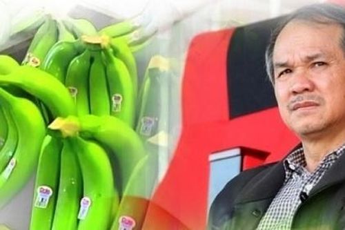 Chuối được giá, Hoàng Anh Gia Lai báo lãi gần 100 tỷ đồng