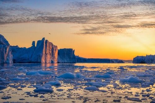 COP28: Kêu gọi thế giới hành động ngăn chặn Trái Đất ấm lên