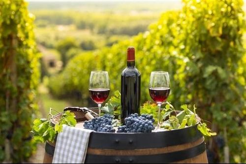 Các nhà sản xuất rượu vang ở Bordeaux muốn 'đổ rượu xuống cống'