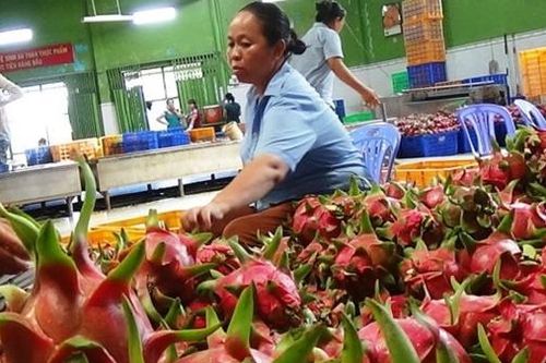 Những điều doanh nghiệp cần lưu ý khi xuất khẩu hàng sang UAE
