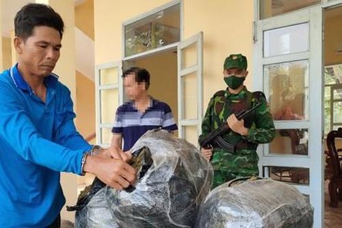 Bắt giữ vụ vận chuyển 57kg cần sa qua biên giới
