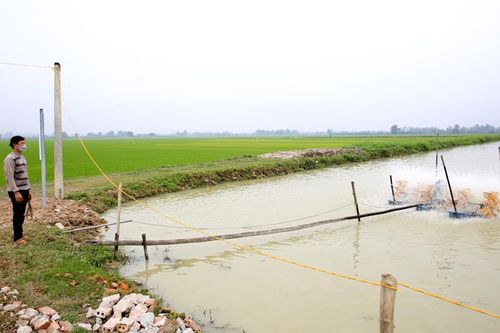 Để vụ nuôi trồng thủy sản mới bội thu