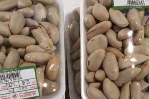 Lạ kỳ hạt mít được bán giá siêu đắt ở Nhật, lý do khiến nhiều người bất ngờ
