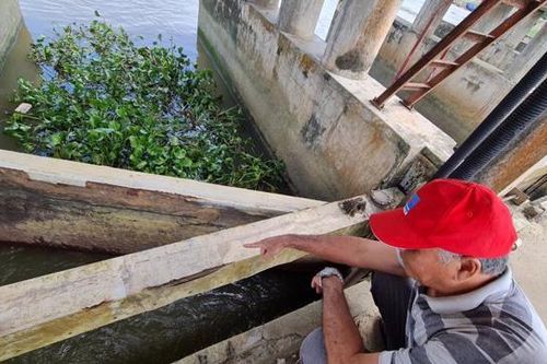 Quảng Ngãi: Khắc phục các công trình ngăn mặn, trữ ngọt bị hư hỏng, xuống cấp