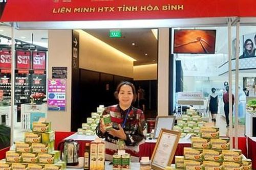 Đầu tư phát triển cây dược liệu ở vùng cao