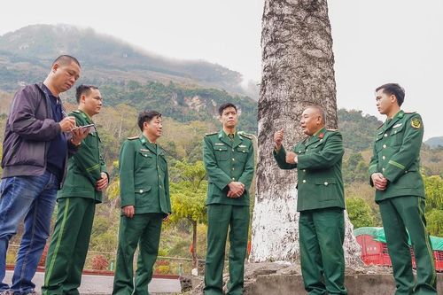 Vang mãi lời thề Vị Xuyên - Bài 1: Màu xanh trên chiến trường xưa