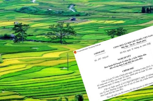 Không thể chậm trễ