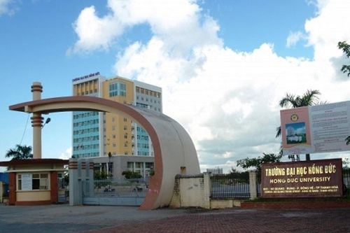 Sinh viên ngành sư phạm chất lượng cao tại Thanh Hóa ra trường vẫn khó tìm việc