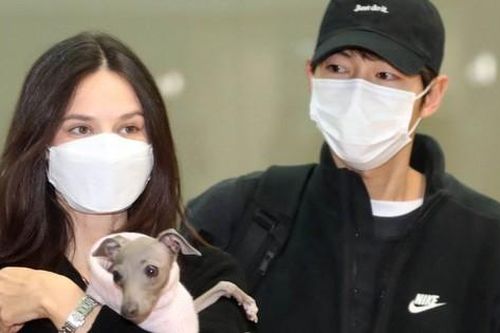 Song Joong Ki và vợ Tây lần đầu xuất hiện