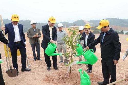 Hơn 25.000 cây 'phủ xanh' dự án sân golf ở Phú Thọ
