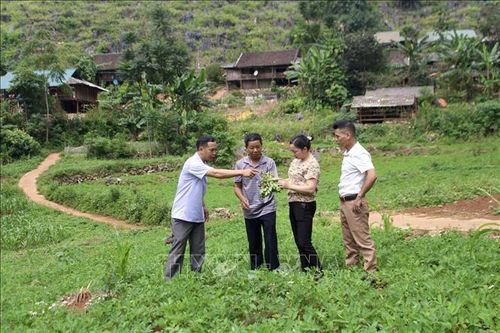 Sóc Hà - 'Đất lửa' hồi sinh