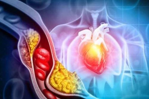 Tại sao ăn đậu nành có thể giúp làm giảm cholesterol xấu?