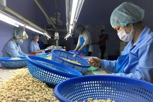 Để xuất khẩu bắt nhịp xu thế mới