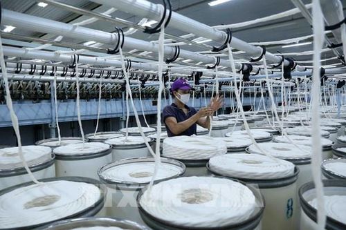 Chuyển đổi số để định vị thương hiệu