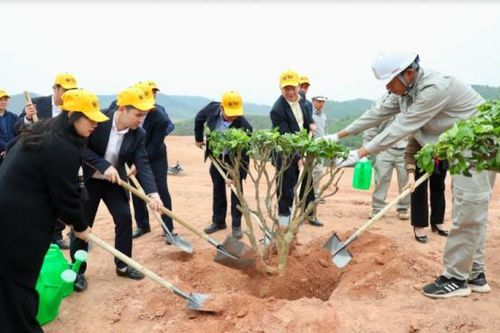 T&T Group phát động trồng cây xanh tại tỉnh Phú Thọ