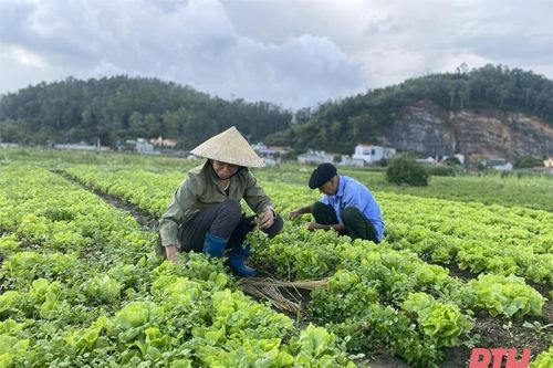 Đẩy mạnh phát triển hạ tầng tại các vùng sản xuất nông nghiệp tập trung