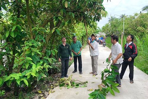 Hiệu quả mô hình 'Ngày đại đoàn kết vì cộng đồng'