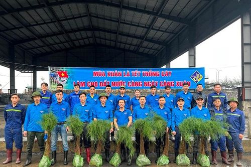 Tuổi trẻ Than Thống Nhất hưởng ứng Tết trồng cây 'Đời đời nhớ ơn Bác Hồ'