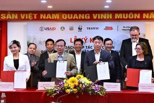 Ra mắt mạng lưới nhà báo, phóng viên bảo vệ động vật hoang dã nguy cấp