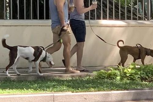 Kỳ 1: Đã đến lúc siết chặt, không thể buông lỏng, lơ là