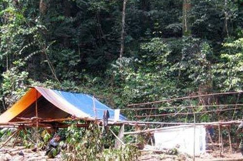 Thảm án 5 phu trầm bị sát hại và hành trình phá án giữa rừng sâu (P1): Vụ bắt cóc nơi hoang vắng