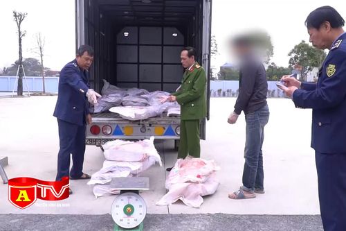Phát hiện xe tải vận chuyển 700kg nầm lợn bốc mùi tại huyện Chương Mỹ