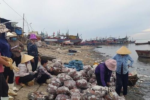 Nan giải xử lý rác từ biển