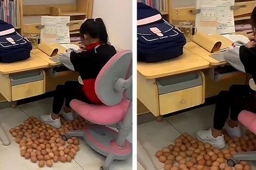 Đặt hàng chục trái trứng quanh chân để con gái tập trung học bài