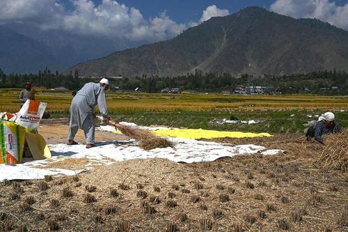 Xu thế tất yếu của chuyển đổi nông nghiệp xanh