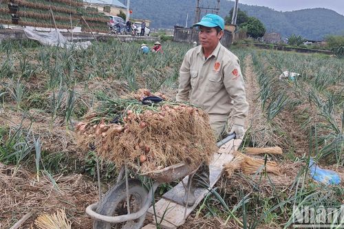 Xây dựng nông thôn mới gắn với bản sắc, giá trị nông thôn